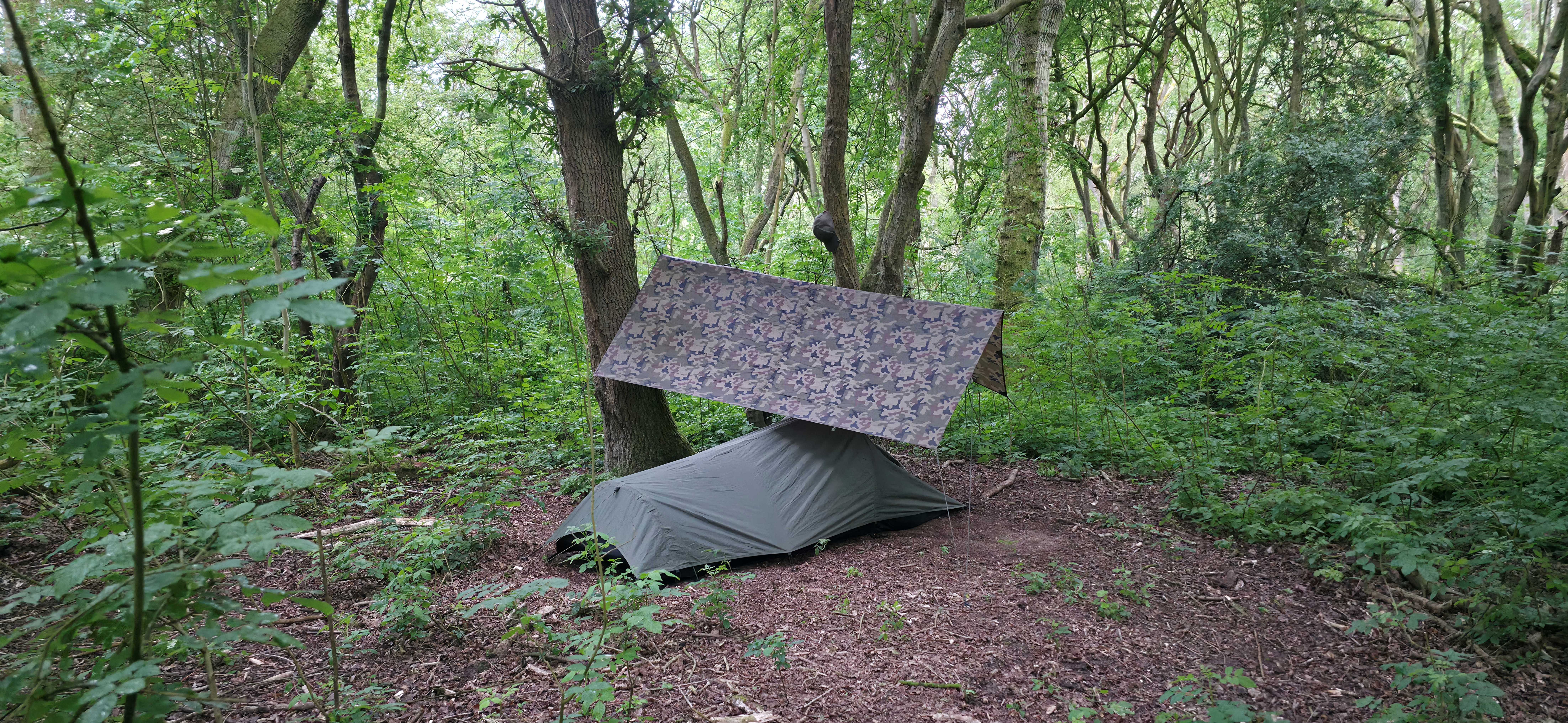 Camping Picture