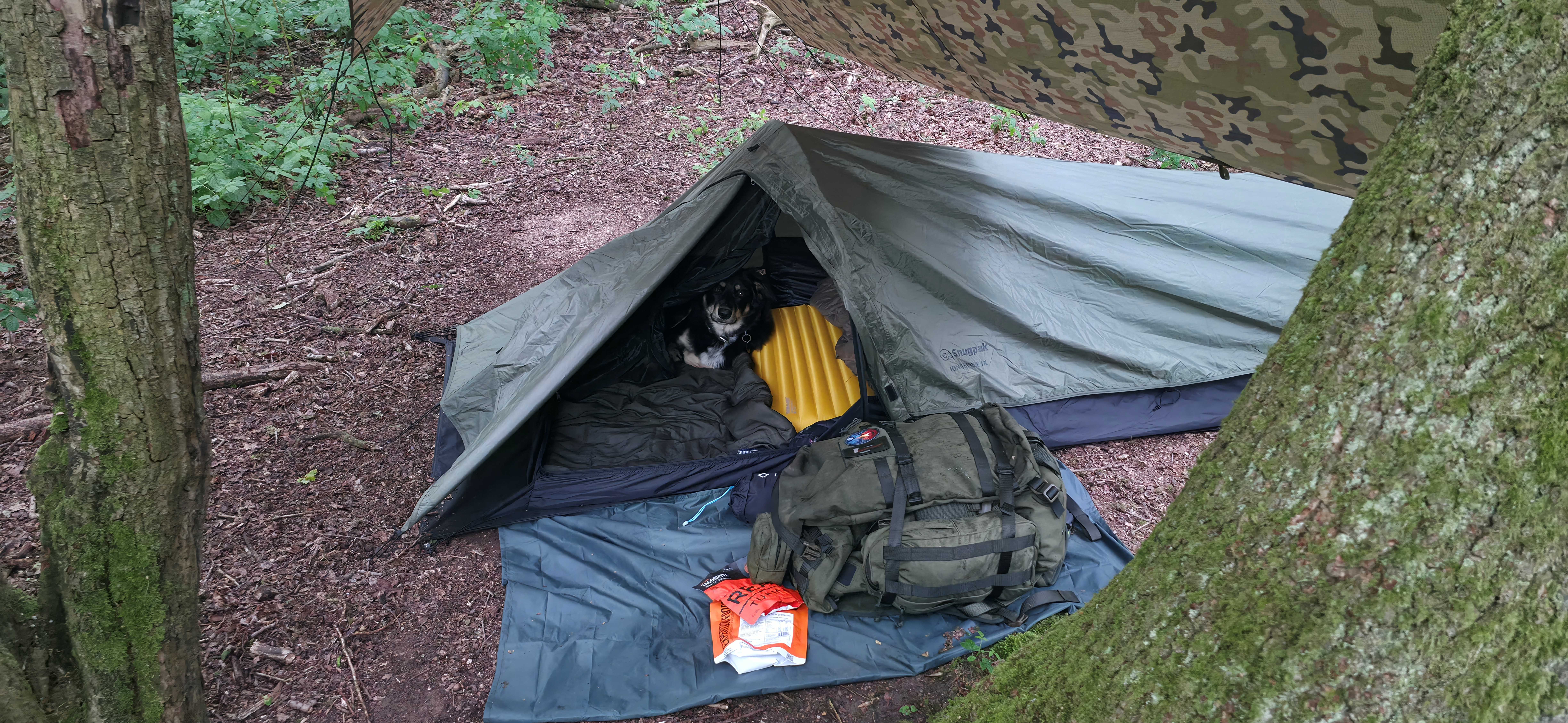 Camping Picture