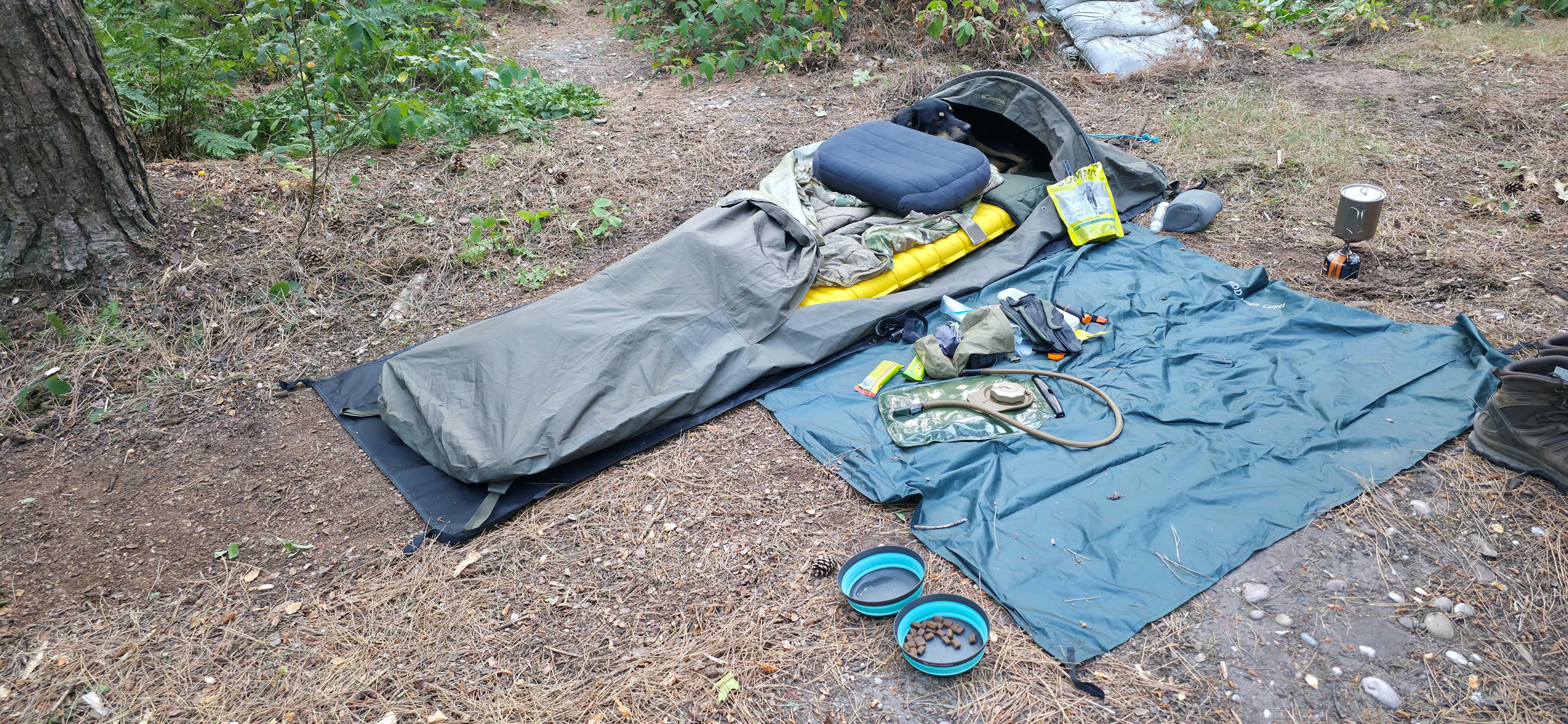 Camping Picture