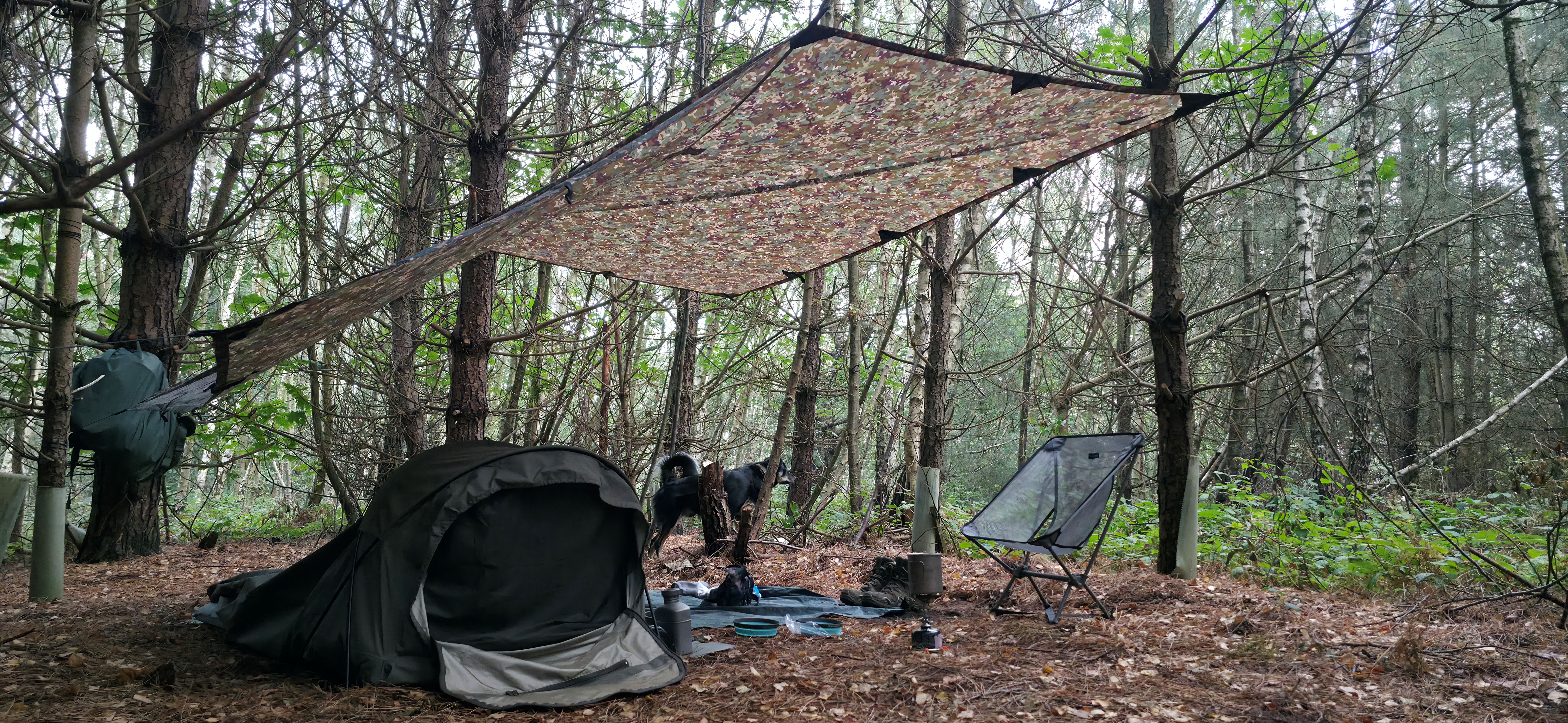 Camping Picture